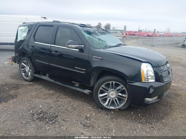 2013 CADILLAC ESCALADE 1GYS3CEF6DR115549