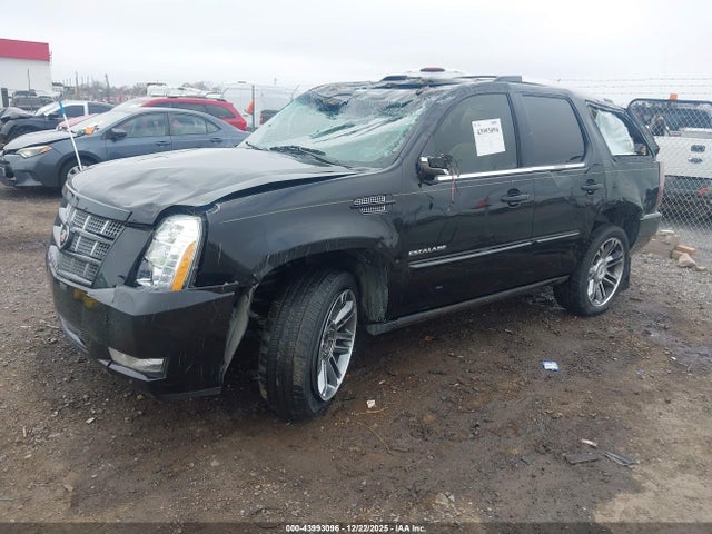 2013 CADILLAC ESCALADE 1GYS3CEF6DR115549 Photo 1