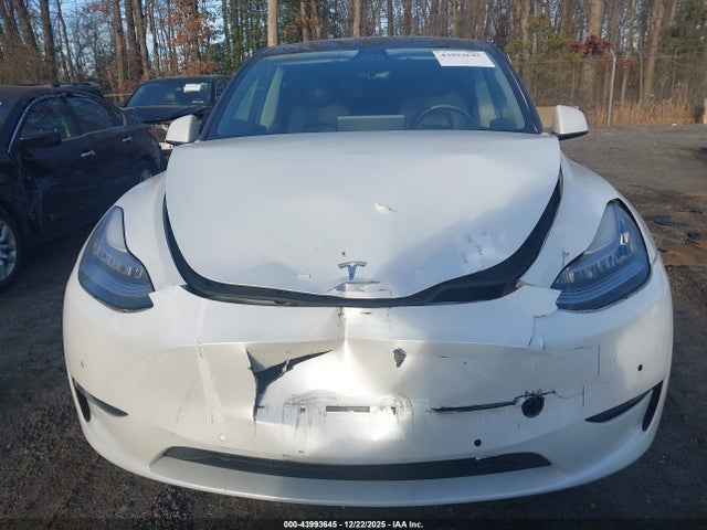 Продажа на аукционе авто 2021 Tesla Model Y Long Range Dual Motor All-wheel Drive, vin: 5YJYGDEE1MF095069, номер лота: 43993645
