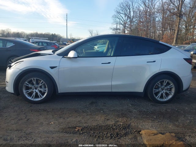 Продажа на аукционе авто 2021 Tesla Model Y Long Range Dual Motor All-wheel Drive, vin: 5YJYGDEE1MF095069, номер лота: 43993645