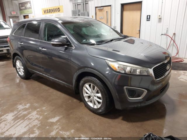 2017 KIA SORENTO 5XYPG4A55HG227086