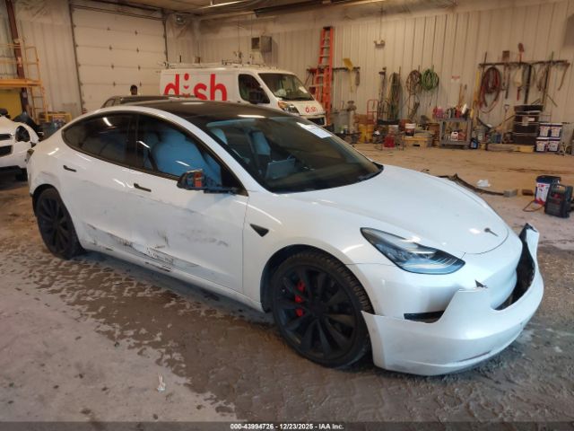 2019 TESLA MODEL 3 5YJ3E1EBXKF408749