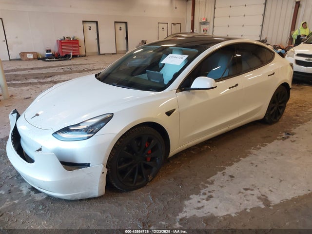 2019 TESLA MODEL 3 5YJ3E1EBXKF408749 Photo 1