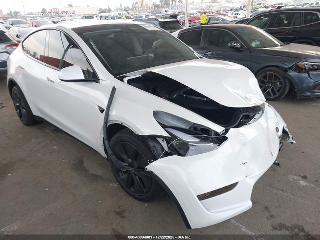 2025 TESLA MODEL Y 7SAYGDED7SF221636 Photo 0