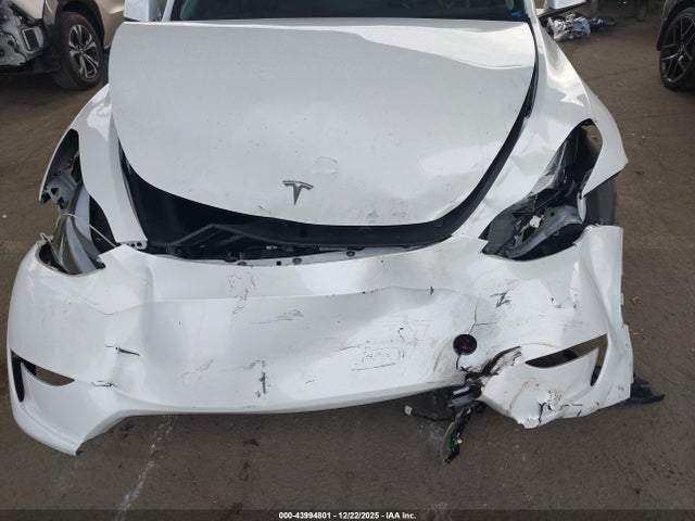 2025 TESLA MODEL Y 7SAYGDED7SF221636 Photo 5