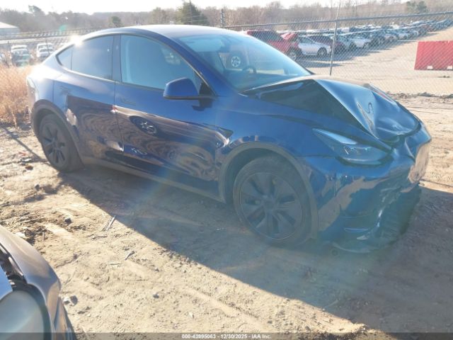 2024 TESLA MODEL Y 7SAYGDED5RA301279