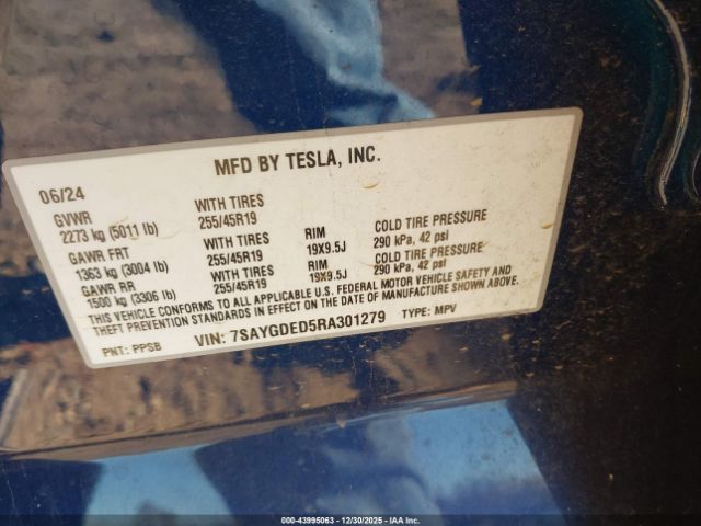 2024 TESLA MODEL Y 7SAYGDED5RA301279 Photo 8
