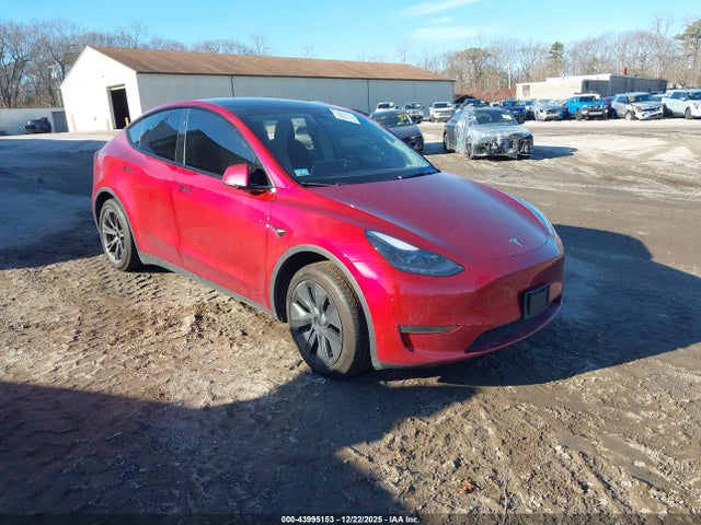 2024 TESLA MODEL Y 7SAYGDEDXRF108046 Photo 0