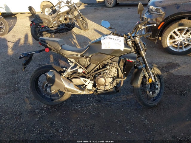 MLHNC5556P5300196 Honda CBF300 NA