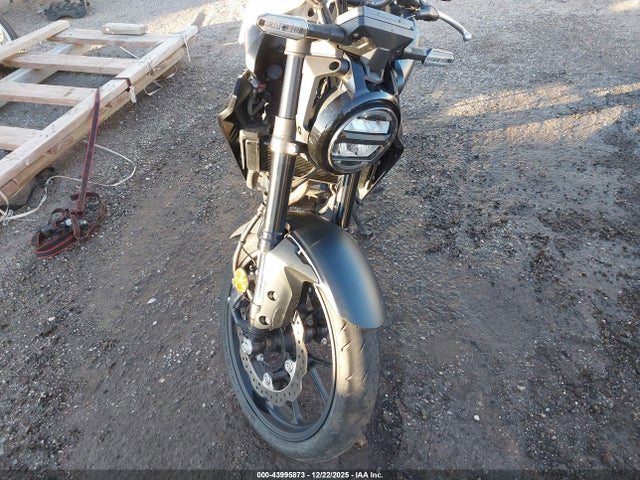 MLHNC5556P5300196 Honda CBF300 NA