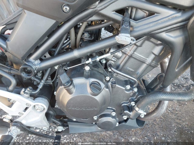 MLHNC5556P5300196 Honda CBF300 NA