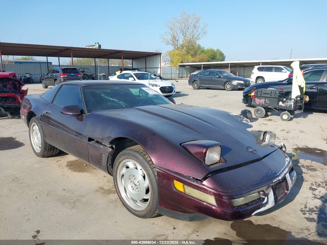1996 CHEVROLET CORVETTE 1G1YY22P4T5106209