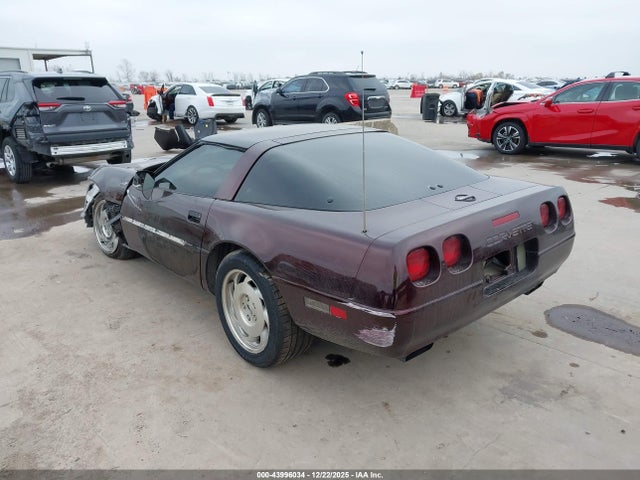 1996 CHEVROLET CORVETTE 1G1YY22P4T5106209 Photo 2