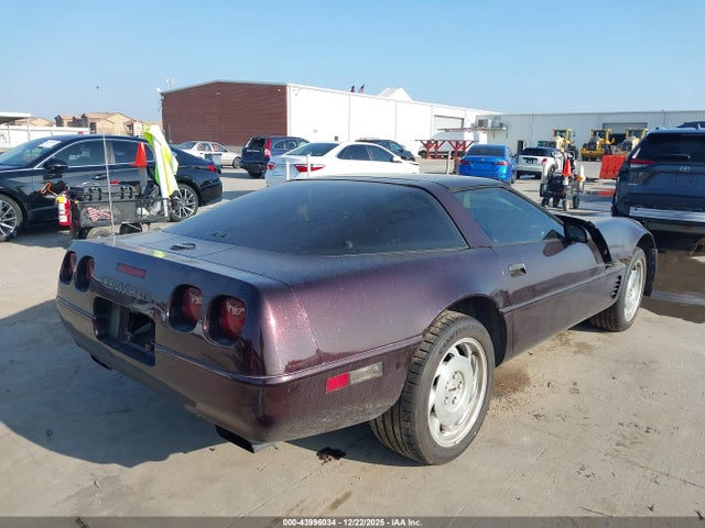 1996 CHEVROLET CORVETTE 1G1YY22P4T5106209 Photo 3