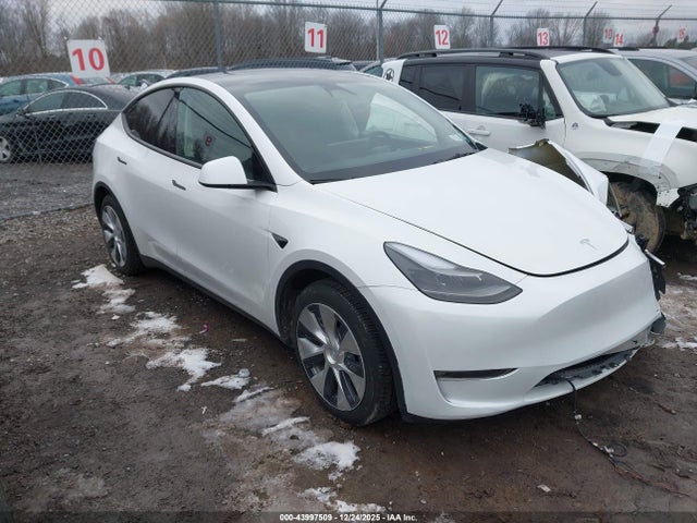 2023 TESLA MODEL Y 7SAYGAEE3PF960131 Photo 0