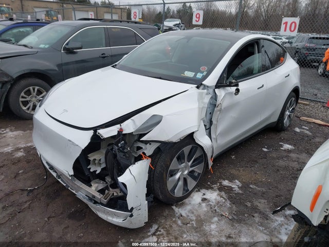 2023 TESLA MODEL Y 7SAYGAEE3PF960131 Photo 1