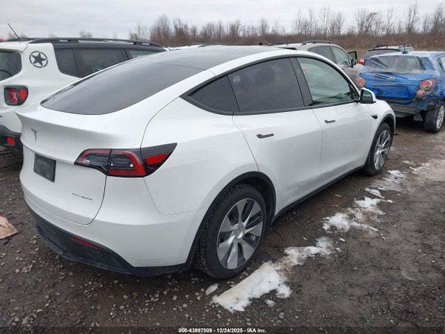 2023 TESLA MODEL Y 7SAYGAEE3PF960131 Photo 3