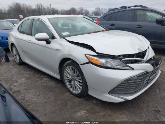 2020 TOYOTA CAMRY 4T1F31AK5LU538595