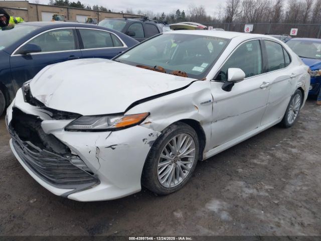 2020 TOYOTA CAMRY 4T1F31AK5LU538595 Photo 1