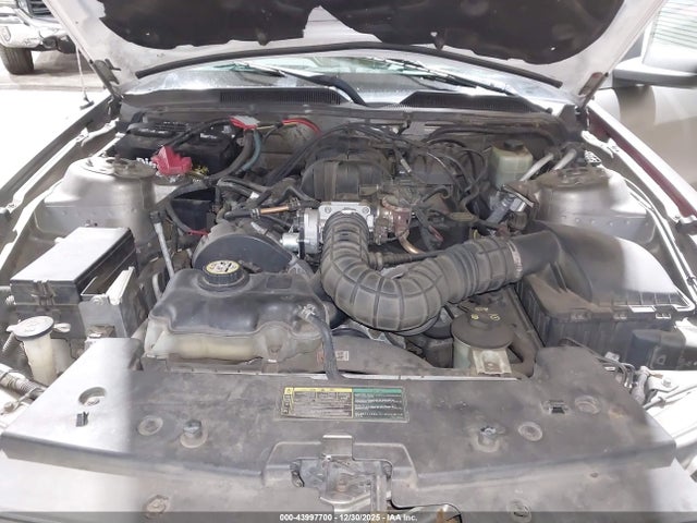 2005 FORD MUSTANG 1ZVFT80N455202150 Photo 9