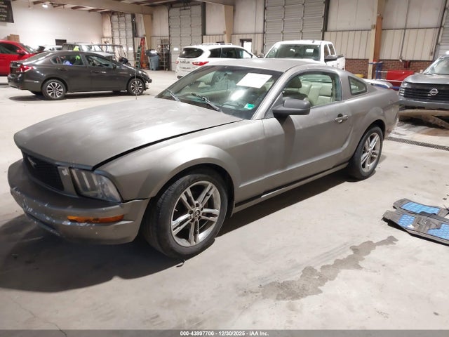 2005 FORD MUSTANG 1ZVFT80N455202150 Photo 1