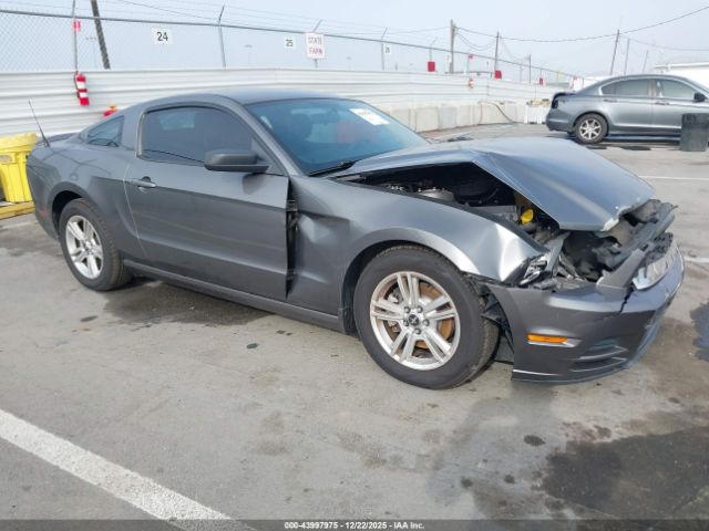 2013 FORD MUSTANG 1ZVBP8AM3D5275422
