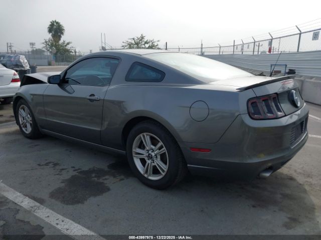 2013 FORD MUSTANG 1ZVBP8AM3D5275422 Photo 2