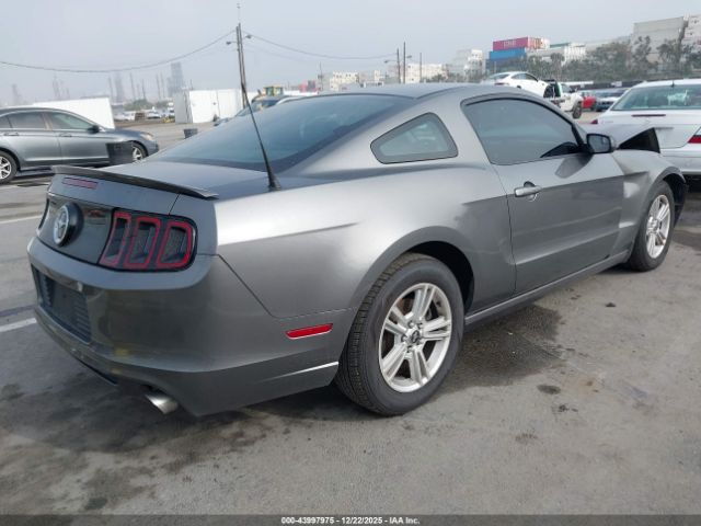 2013 FORD MUSTANG 1ZVBP8AM3D5275422 Photo 3