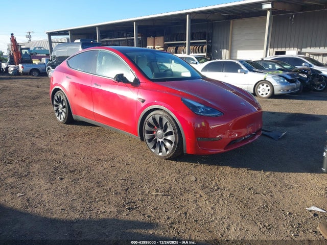 2023 TESLA MODEL Y 7SAYGDEF5PF776917 Photo 0
