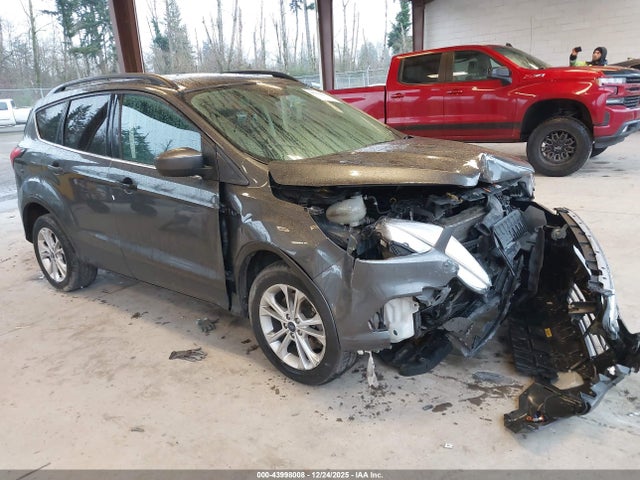 Ford ESCAPE SEL 2019 1FMCU9HD6KUC32011 головне зображення