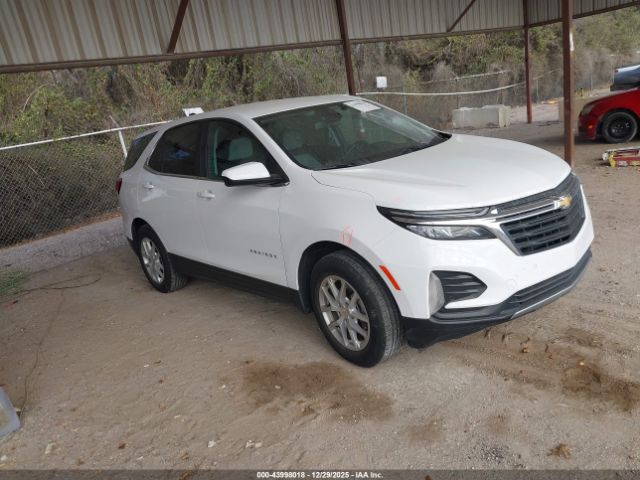 2024 CHEVROLET EQUINOX 3GNAXKEG0RL177365