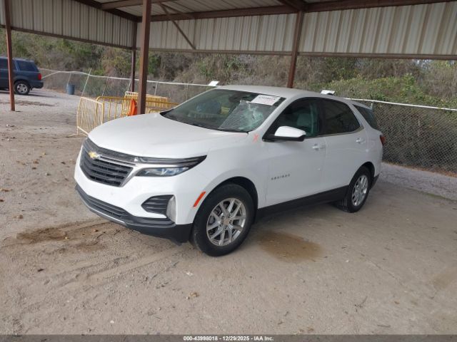 2024 CHEVROLET EQUINOX 3GNAXKEG0RL177365 Photo 1