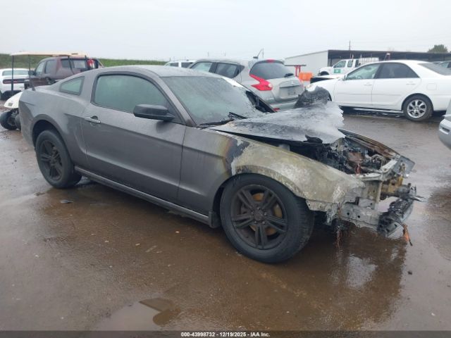 2014 FORD MUSTANG 1ZVBP8AM3E5270576