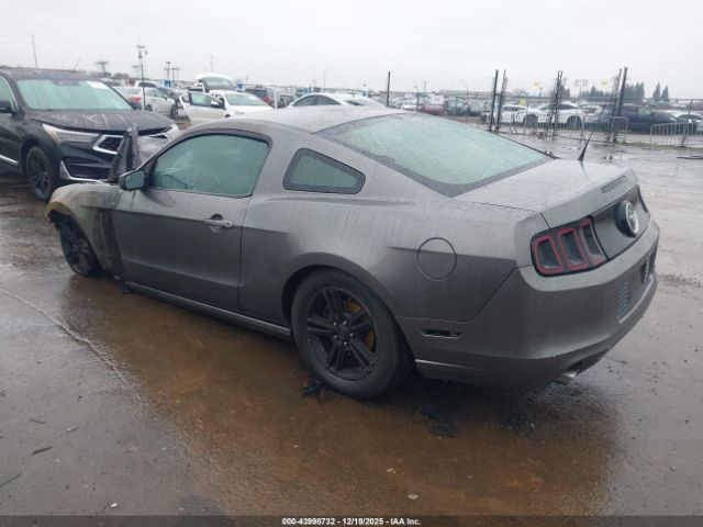 2014 FORD MUSTANG 1ZVBP8AM3E5270576 Photo 2
