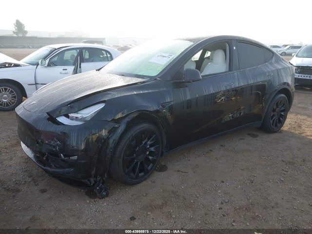 2023 TESLA MODEL Y 7SAYGDEE2PA142811 Photo 1