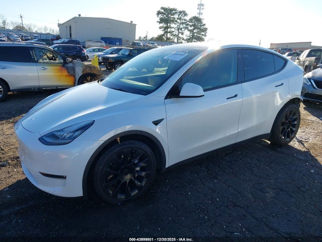 2021 TESLA MODEL Y 5YJYGDEE5MF108132 Photo 1