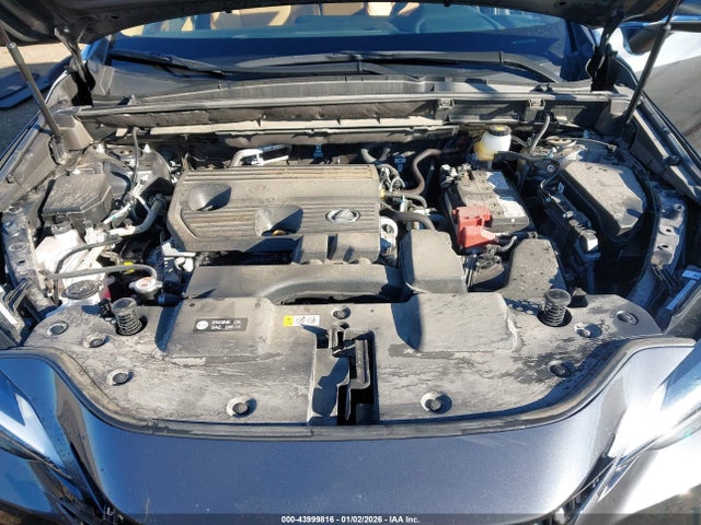 Продаж на аукціоні авто 2025 Lexus Nx 250, vin: 2T2ADCAZ8SC022565, номер лоту: 43999816