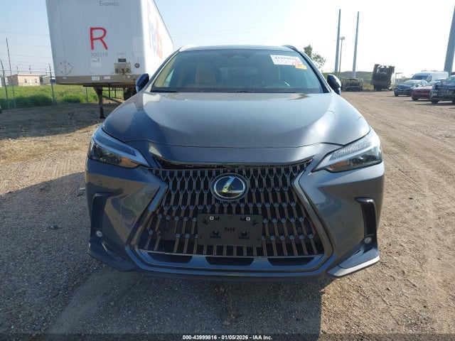 Продаж на аукціоні авто 2025 Lexus Nx 250, vin: 2T2ADCAZ8SC022565, номер лоту: 43999816