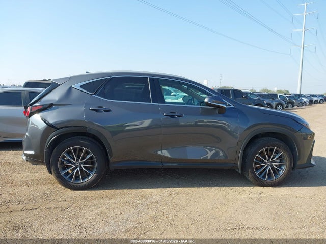 Продаж на аукціоні авто 2025 Lexus Nx 250, vin: 2T2ADCAZ8SC022565, номер лоту: 43999816