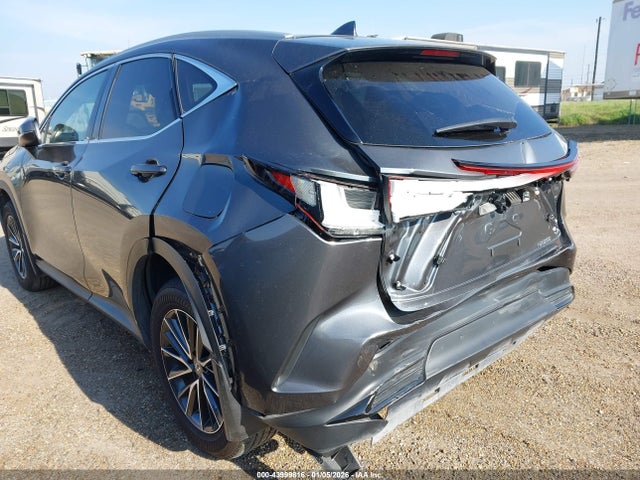 Продаж на аукціоні авто 2025 Lexus Nx 250, vin: 2T2ADCAZ8SC022565, номер лоту: 43999816