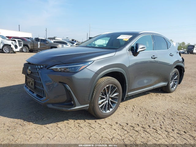 Продаж на аукціоні авто 2025 Lexus Nx 250, vin: 2T2ADCAZ8SC022565, номер лоту: 43999816