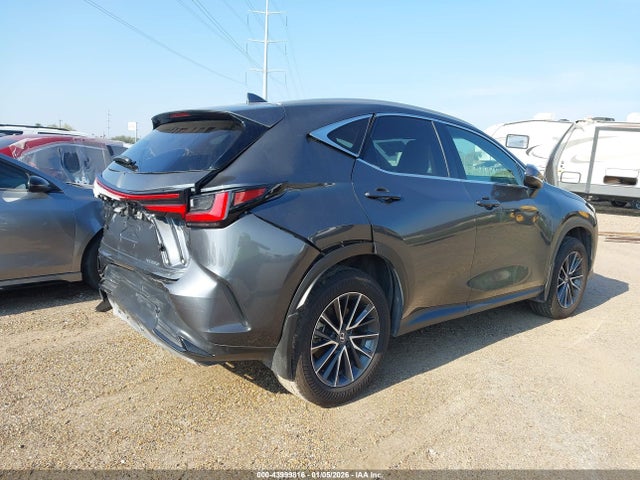 Продаж на аукціоні авто 2025 Lexus Nx 250, vin: 2T2ADCAZ8SC022565, номер лоту: 43999816