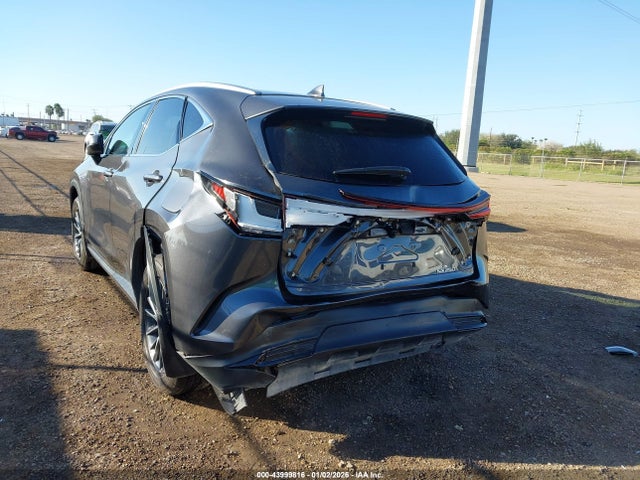 Продаж на аукціоні авто 2025 Lexus Nx 250, vin: 2T2ADCAZ8SC022565, номер лоту: 43999816