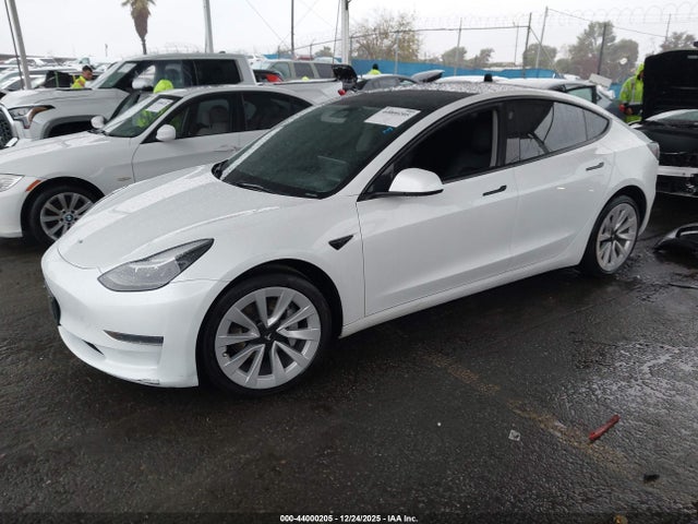 2023 TESLA MODEL 3 5YJ3E1EA2PF459029 Photo 1