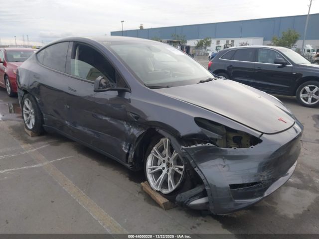 2023 TESLA MODEL Y 7SAYGDEE5PF839134 Photo 5