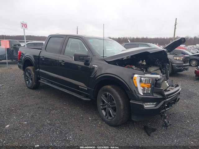 2023 FORD F-150 1FTFW1ED5PFA75391