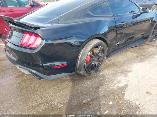 1FA6P8SJ9L5502254 Ford Mustang Shelby Gt500 Fastback