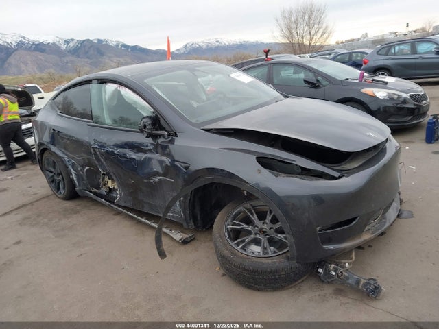 2025 TESLA MODEL Y 7SAYGDED6SF315426 Photo 0