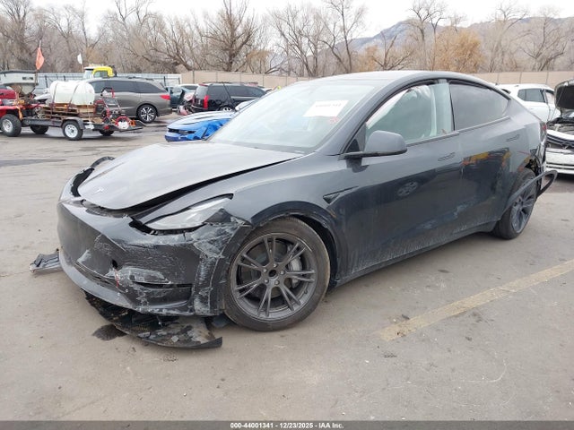 2025 TESLA MODEL Y 7SAYGDED6SF315426 Photo 1