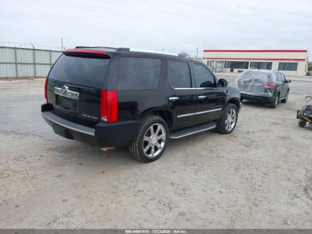 2008 CADILLAC ESCALADE 1GYEC63838R116795 Photo 3